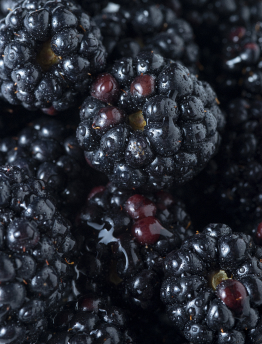 Blackberries